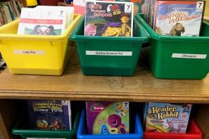 DVDs in colored bins