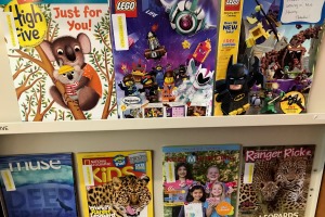 magazines on shelves