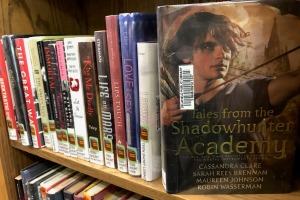 books on shelf with green and brown short story stickers